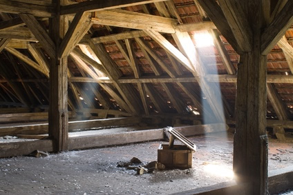 Damp or rot in roof timbers