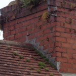 Moss on a roof and chimney