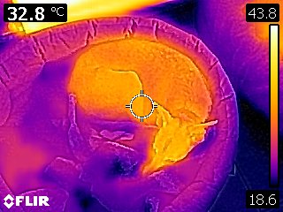 Thermal imaging: Warm lurcher next to radiator